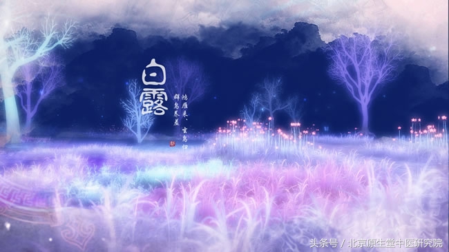 夜读二十四节气之白露,二十四节气白露高清图