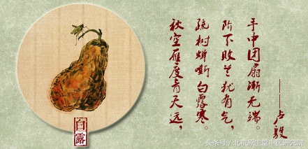 夜读二十四节气之白露,二十四节气白露高清图