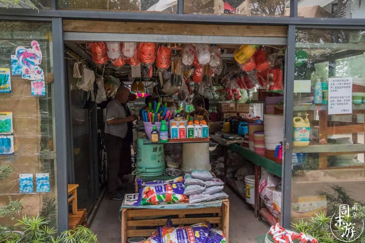 南京市最大的花鸟鱼虫市场在哪里,逛花鸟鱼虫市场的视频