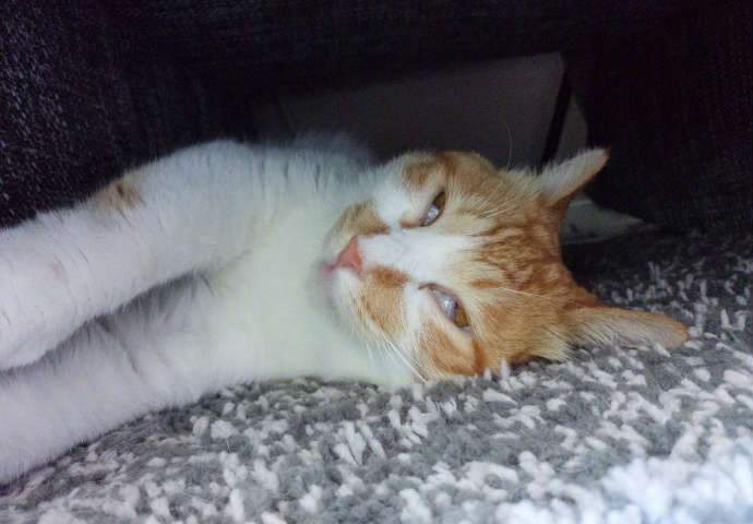 段子十则四十二期,段子十则第十六期