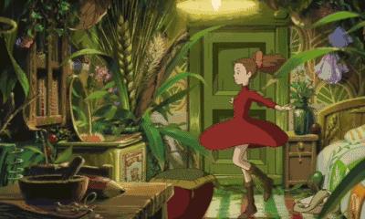 新装修的房子什么植物可以去甲醛,植物吸甲醛好还是活性炭吸甲醛好