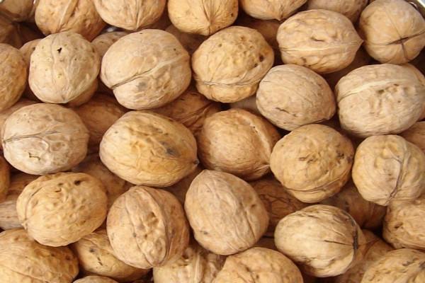 妈妈把晒好的核桃分成了五份······