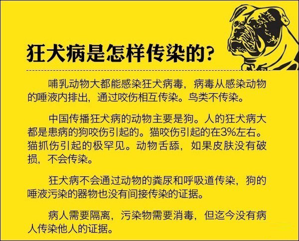 我被猫咬了会得狂犬病吗,我被猫咬了会怎样