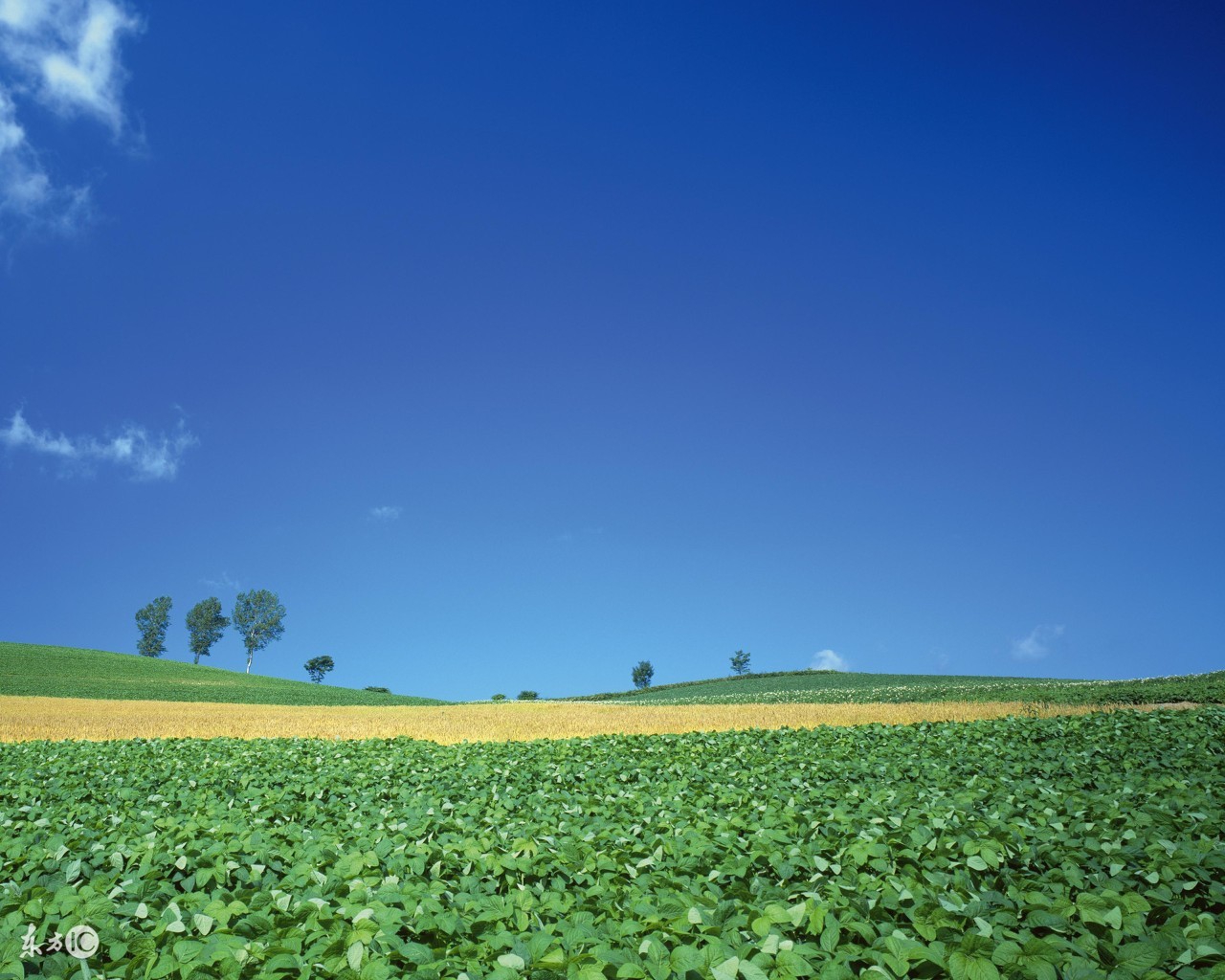 成功秘诀和感悟,成功的秘诀利他
