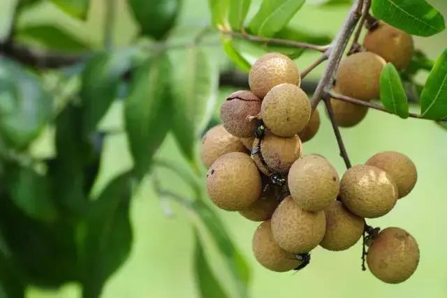 今日“白露”，为了健康，南安人应该怎么做？（附视频）