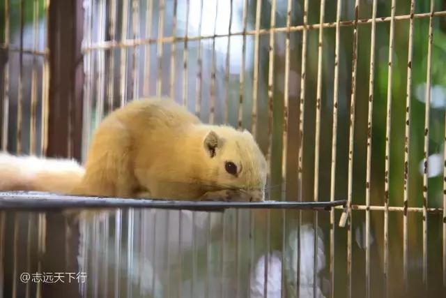 最美的女童海南,最美的小女生去游乐场玩