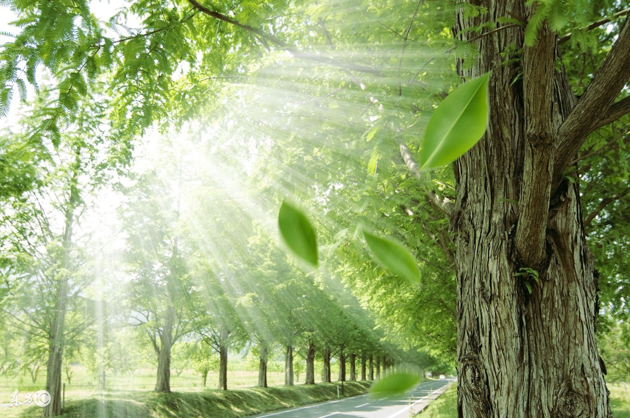 成功秘诀和感悟,成功的秘诀利他