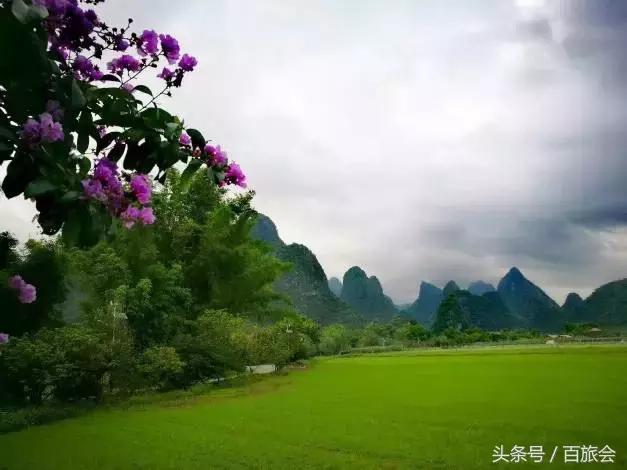 唯一一处不会得癌症的地方,一个从来没有人得过癌症的村子