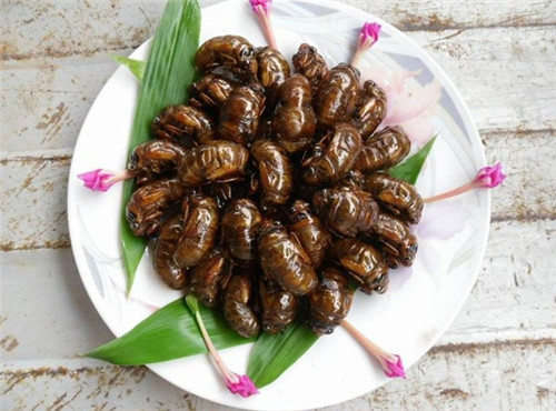 吃水果吃到一半发现虫子,刚刚吃水果吃了一个虫子怎么办