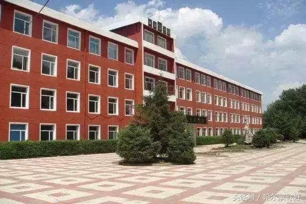 哈尔滨最舒服大厅,哈尔滨哪个区住店便宜