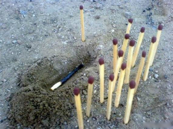 段子十则第四十七期,段子十则第十二集