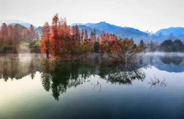 不愧为中山的生态保护区,镜头下的五桂山竟然这么美