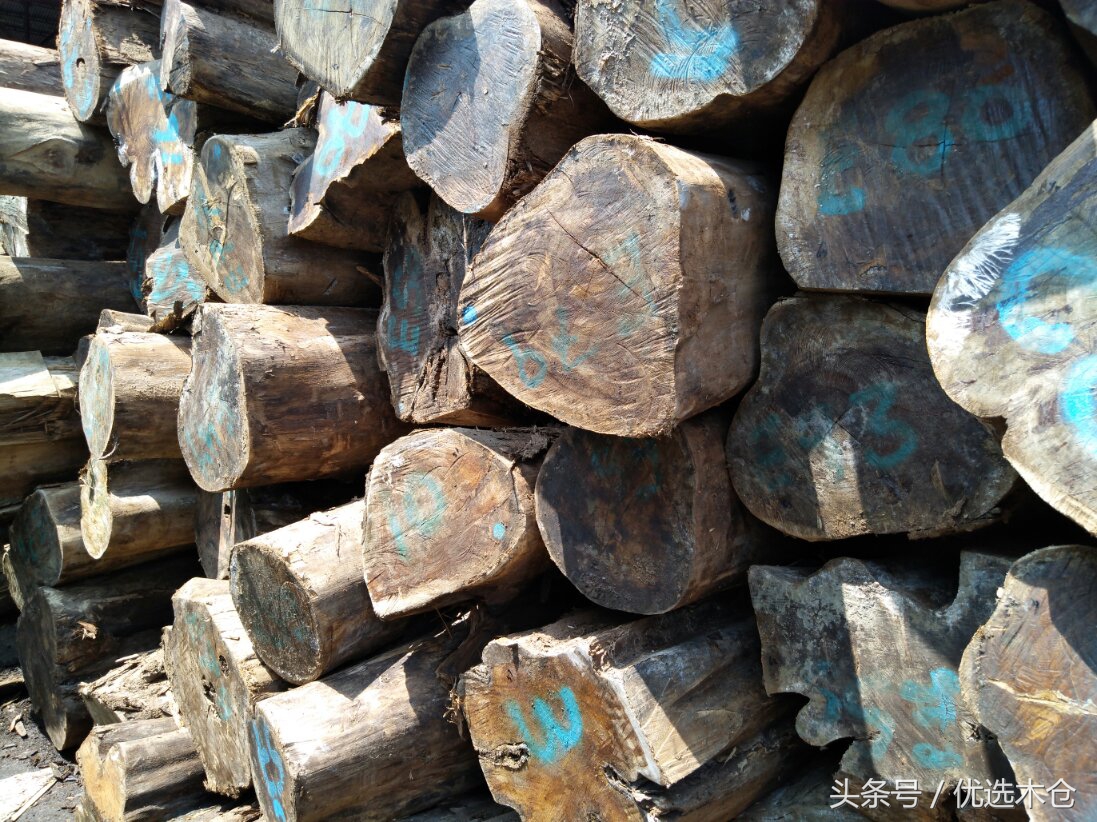 美洲胡桃木和红木家具,木材南美柚木