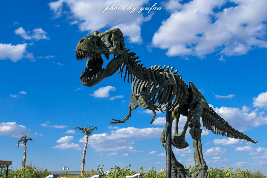 中国被称为恐龙之乡的地方在哪,哪里被誉为中国北方恐龙之乡