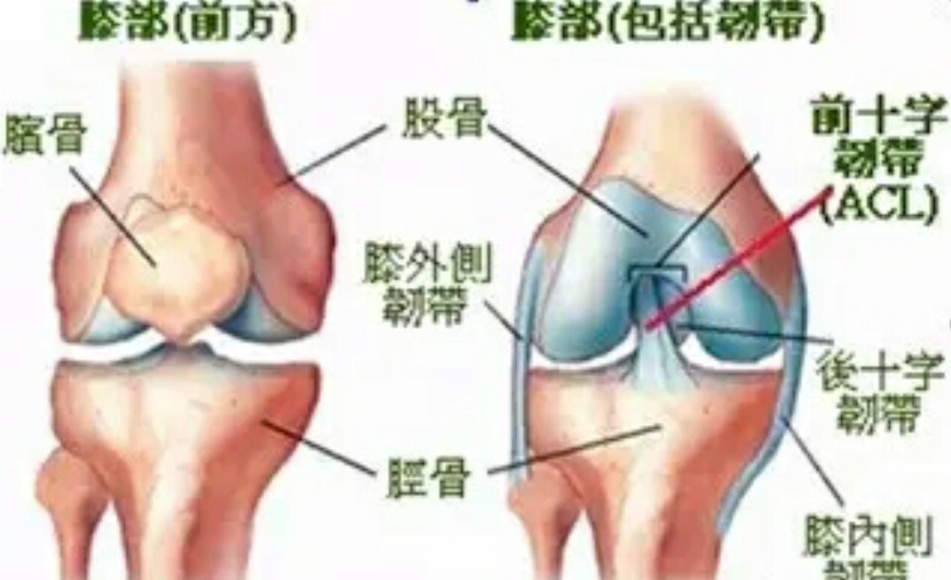 膝关节韧带受伤严重怎么处理,膝关节韧带损伤怎么算好了