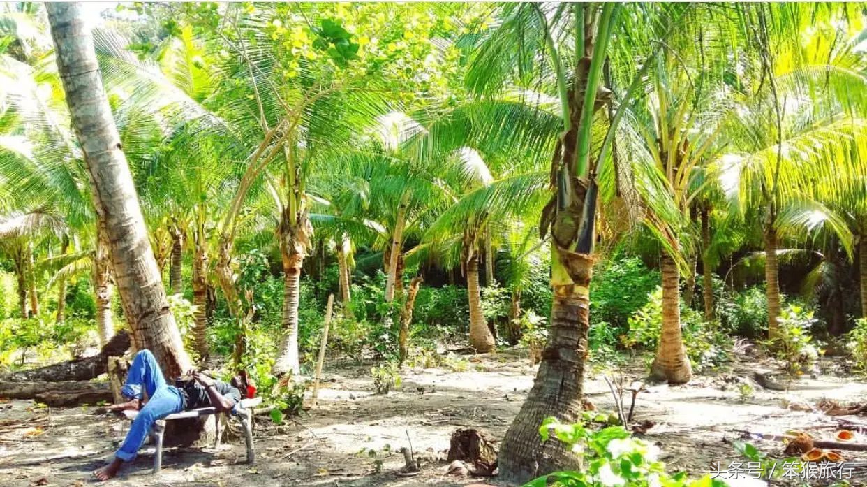 东南亚最适合潜水的海岛,6个绝美免签海岛