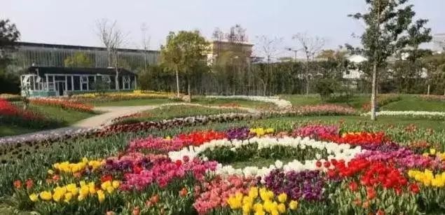 宁波罗蒙环球乐园团购门票特惠,宁波罗蒙环球乐园特惠票在哪里买