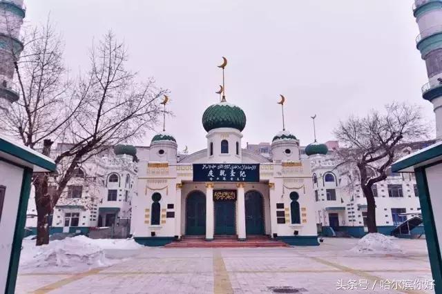 哈尔滨几月份去最舒服,哈尔滨哪个地方好玩住的地方便宜