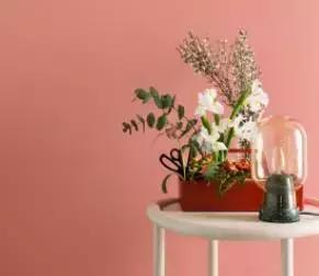 接棒原谅绿，鲑鱼粉怕是下半年最火的颜色！