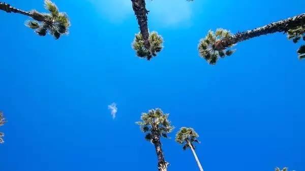 ysl时装视频,2024春夏时装秀ysl