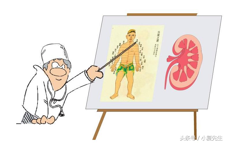 肾小球肾炎中医辨证,中医治疗肾病尿蛋白怎么治