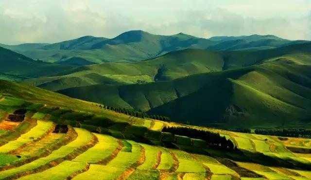 张家口之夜景色真的很美,从来没有见过的张家口美景