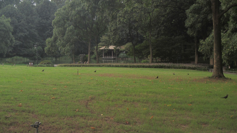 苏州西塘乌镇二日游团从杭州出发,苏州西塘乌镇二日一夜