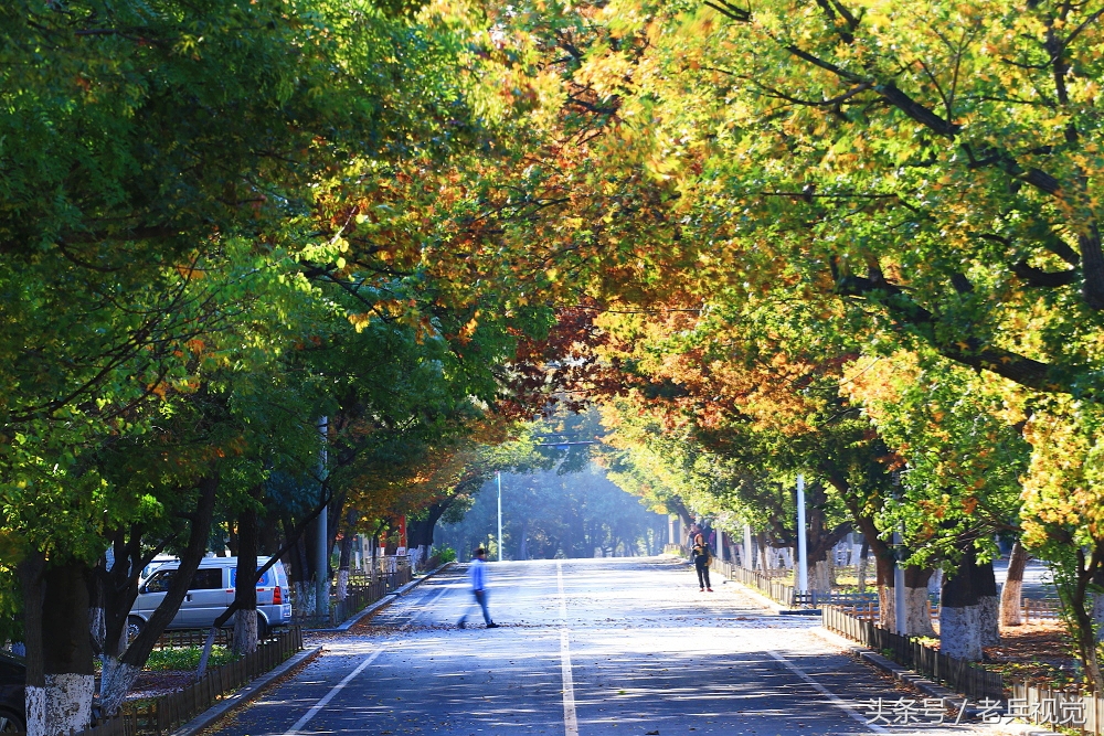 大连的秋天,大连附近秋天值得去的城市