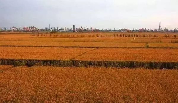 夏季沈阳周边自驾游路线推荐,沈阳周边30个最佳自驾好去处