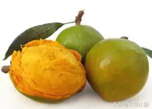 你们吃过哪些又贵又不好吃的食物,那些又难吃又贵的食物