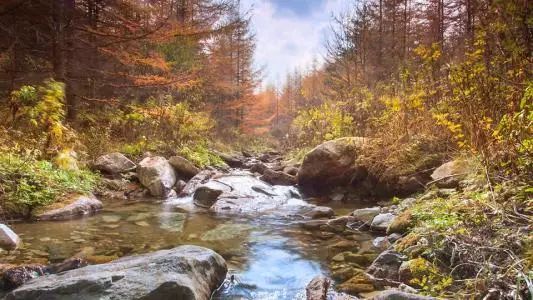 经典秋韵,独一无二的秋韵