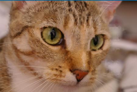 盘点一个既实用又好用的网站,有哪些既冷门又实用的网站