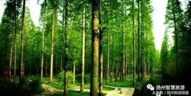 扬州农家乐游玩攻略,扬州十大最美农家乐