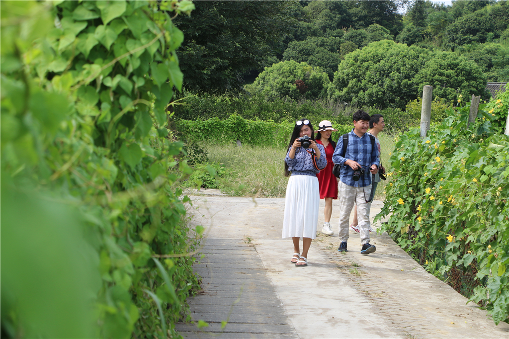 品农家菜肴田园生活,嘉兴南北湖农家乐推荐