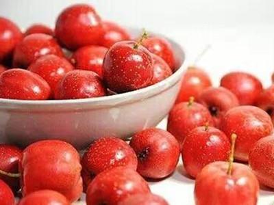 秋季快要到冬季最适合吃什么水果,可滋阴润燥生津水果有哪些