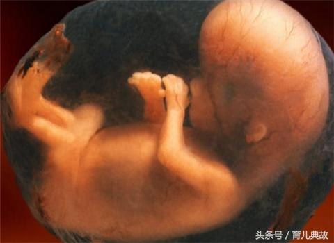 怀孕六个月引产的真实经历,孕6月总是想哭