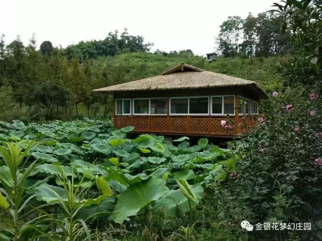 距离成都3个小时的秘境,距离成都8小时以内的景区