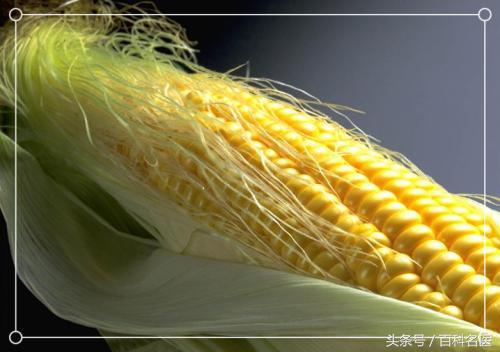 俗话说“一根米须二两金！”，这些好处要知道，坚持1个月出奇效