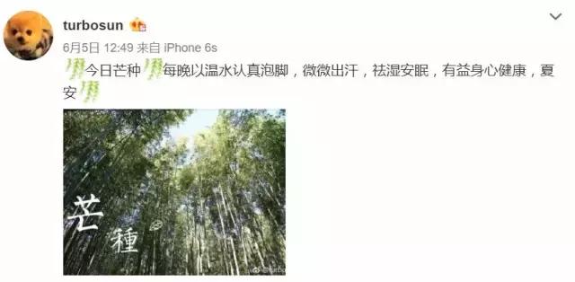 孙俪新剧未拍先火,孙俪看了甄嬛传