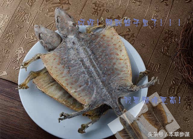 仙蟾的功效,仙蟾的种类