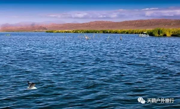 一大一小两个情侣湖，国庆来西域敦煌必经之路，一起秀恩爱吧！