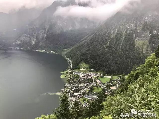 芬兰qs世界大学排名2024,芬兰qs大学排名一览表