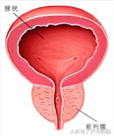 男人到了30岁还有病吗,男人得了这三种病
