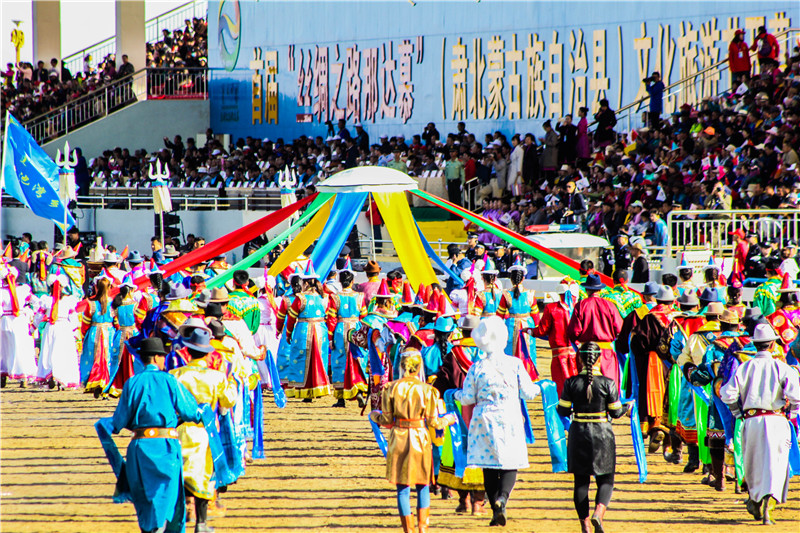 肃北七彩花海,肃北百亩花海在哪里