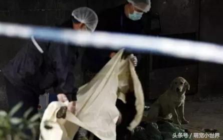 流浪汉冻死街头后续,流浪汉冻死在雪地