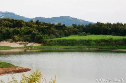 羊山湖日落,铜山湖看日出的地方
