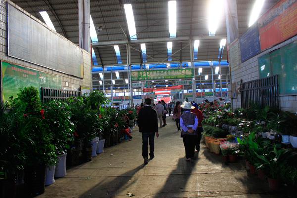 昆明有哪些最好的特产,昆明有哪些特产是正宗的