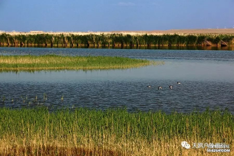 一大一小两个情侣湖，国庆来西域敦煌必经之路，一起秀恩爱吧！