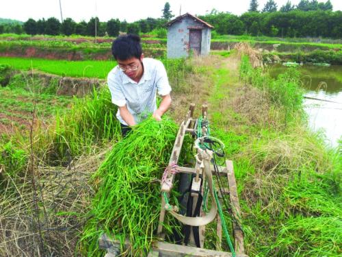 村官升为副镇长几率,大学生村官成为公务员必须考试吗