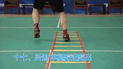 羽毛球上肢灵活性训练,羽毛球灵敏素质练习教案